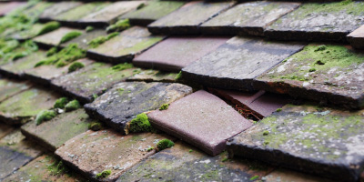 Besthorpe roof repair costs